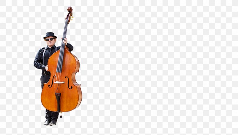 Violone Double Bass Bluegrass Cello Violin, PNG, 1077x611px, Violone, Bluegrass, Blues, Bowed String Instrument, Cellist Download Free