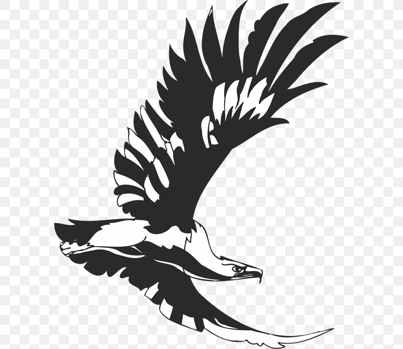 Bird Stencil Eagle Aquila Accipitrinae, PNG, 600x709px, Bird, Accipitrinae, Aquila, Art, Artwork Download Free