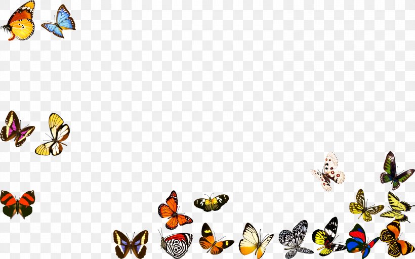 Butterfly Clip Art, PNG, 3000x1875px, Butterfly, Beak, Bird, Butterflies And Moths, Computer Download Free