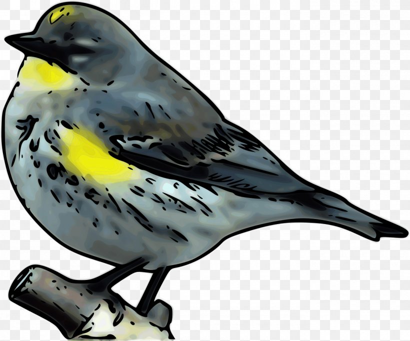 New World Warblers Bird Clip Art Pine Warbler, PNG, 1370x1140px, New World Warblers, American Sparrows, Animal, Beak, Bird Download Free