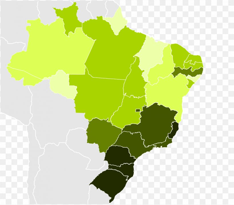 Regions Of Brazil Southeast Region, Brazil South Region, Brazil White Brazilian, PNG, 1163x1024px, Regions Of Brazil, Area, Brazil, Demographics Of Brazil, Flag Of Brazil Download Free