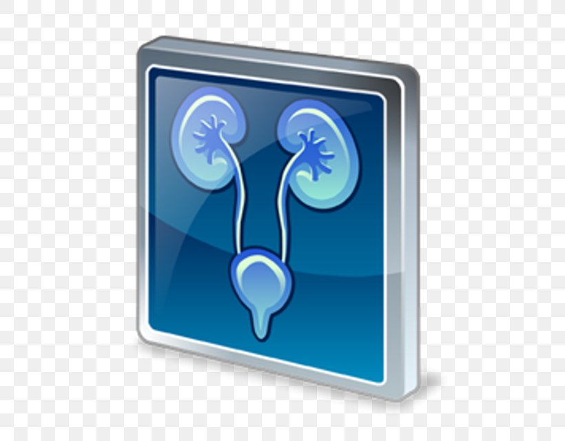 Esophagogastroduodenoscopy Medicine Nephrology Physician Physical Examination, PNG, 640x640px, Esophagogastroduodenoscopy, Diabetes Mellitus, Electrocardiography, Hospital, Medical Equipment Download Free