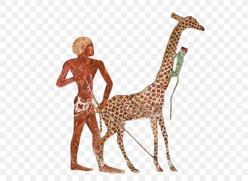 Giraffe Ancient Egypt Nekhen Zoo Egyptian, PNG, 565x600px, Giraffe, Ancient Egypt, Ancient History, Animal, Animal Figure Download Free