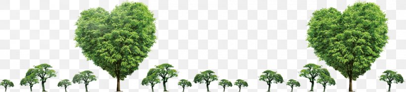 Tree Plant Arbor Day Download, PNG, 1920x436px, Tree, Arbor Day, Grass, Grass Family, Grasses Download Free