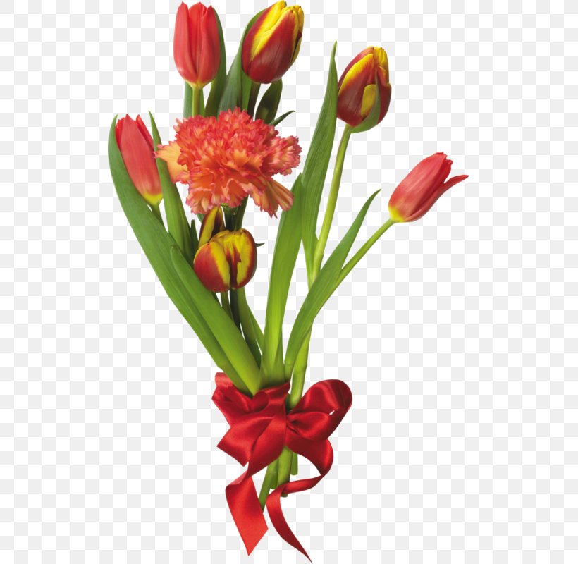 Tulip Mania Flower Bouquet, PNG, 513x800px, Tulip Mania, Cut Flowers, Floral Design, Floristry, Flower Download Free
