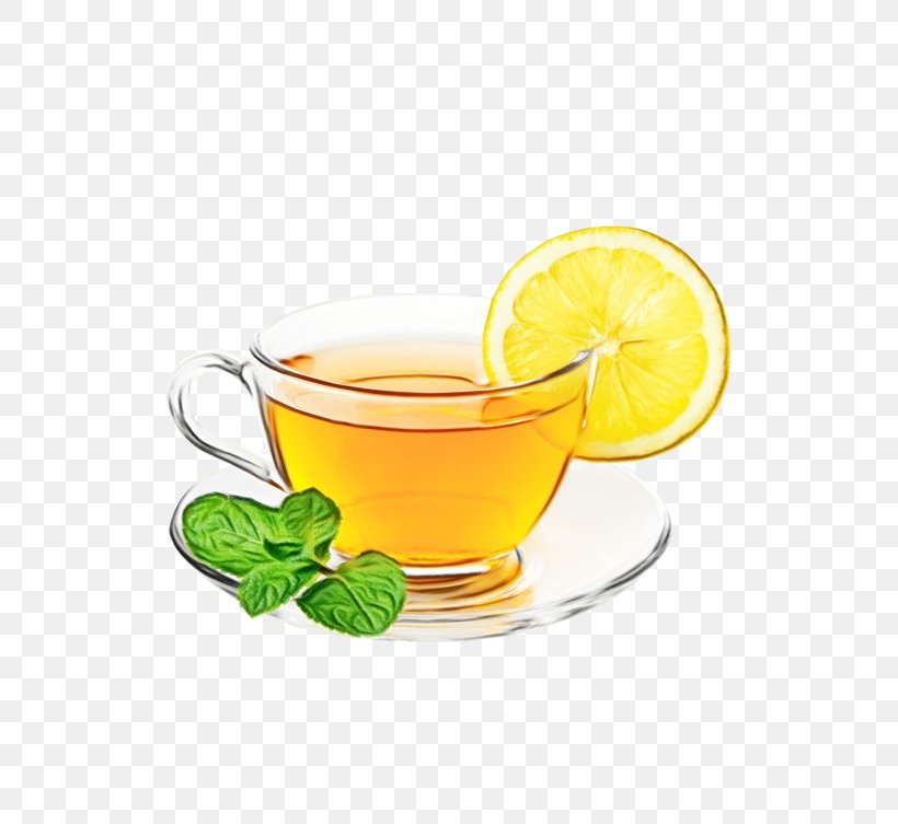 Watercolor Liquid, PNG, 539x753px, Watercolor, Black Tea, Citrus, Cocktail Garnish, Cup Download Free