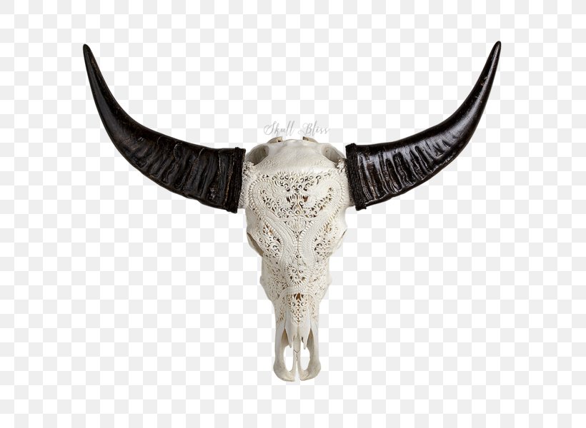 Animal Skulls Horn Bone Head, PNG, 600x600px, Animal Skulls, Animal, Antique, Artist, Bone Download Free