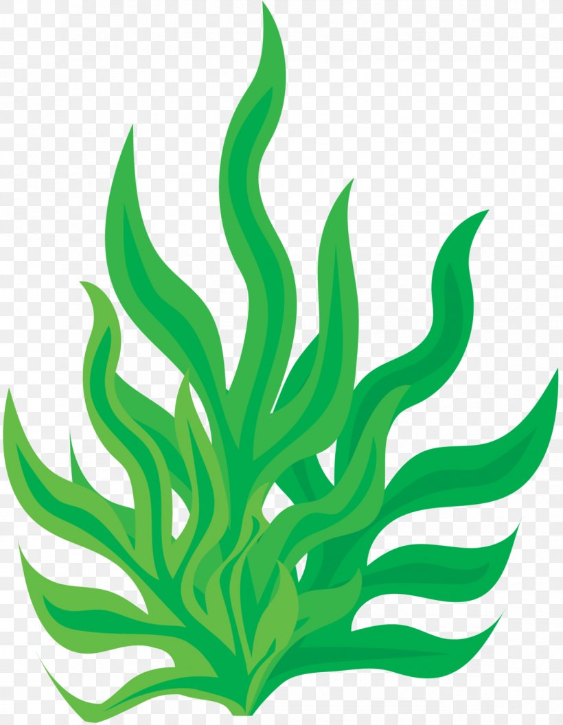 Clip Art Image Download Green, PNG, 1171x1509px, Green, Aquarium Decor, Botany, Cartoon, Client Download Free