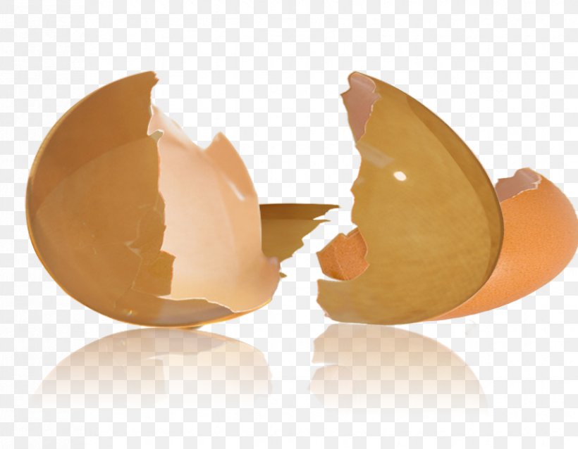 Eggshell Chicken Egg, PNG, 852x663px, Eggshell, Chicken Egg, Designer, Drawing, Egg Download Free