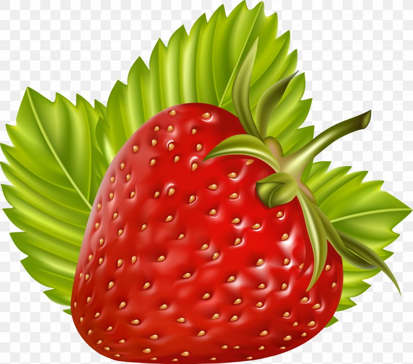 Juice Berry Fruit Clip Art, PNG, 2071x1827px, Juice, Accessory Fruit, Berry, Chokeberry, Cranberry Download Free