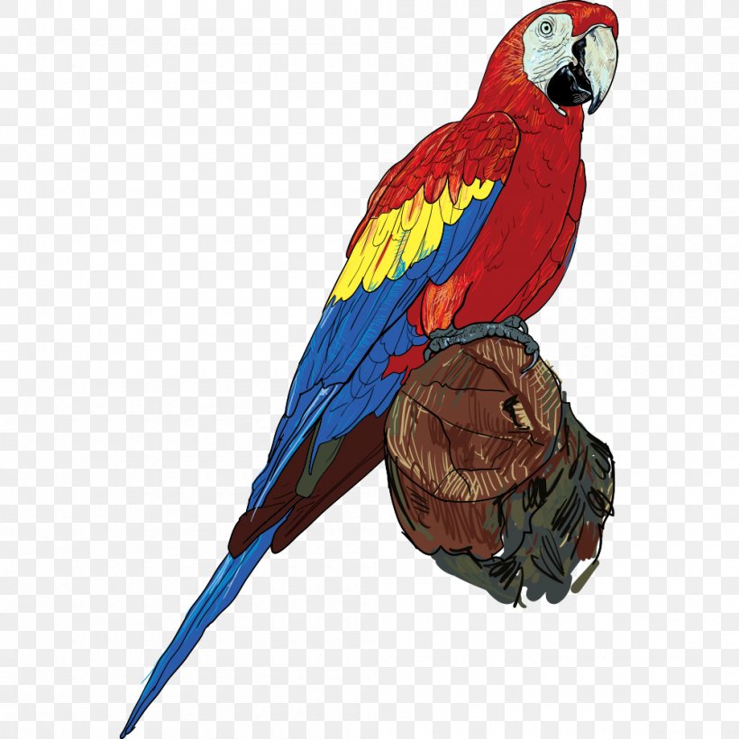 Parrot On Tree Branch, PNG, 1000x1000px, Bird, Animal, Beak, Blood Parrot Cichlid, Cartoon Download Free
