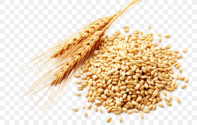 Wheat Berry Food Bran, PNG, 757x520px, Einkorn Wheat, Avena, Bran ...