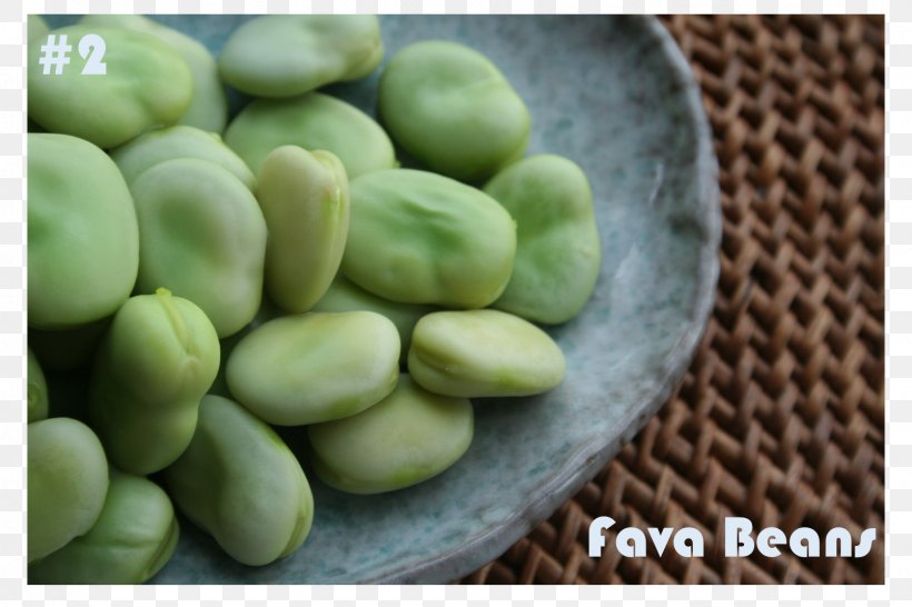 Broad Bean Food Balsamic Vinegar Syrian Cuisine Gluten-free Diet, PNG, 1607x1071px, Broad Bean, Balsamic Vinegar, Bean, Commodity, Cooking Download Free