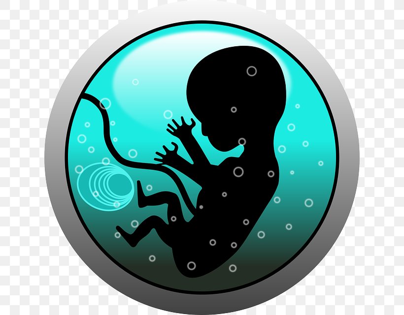 Infant Pregnancy Uterus Childbirth Amniotic Fluid, PNG, 640x640px, Infant, Amniotic Fluid, Aqua, Baby On Board, Birth Download Free
