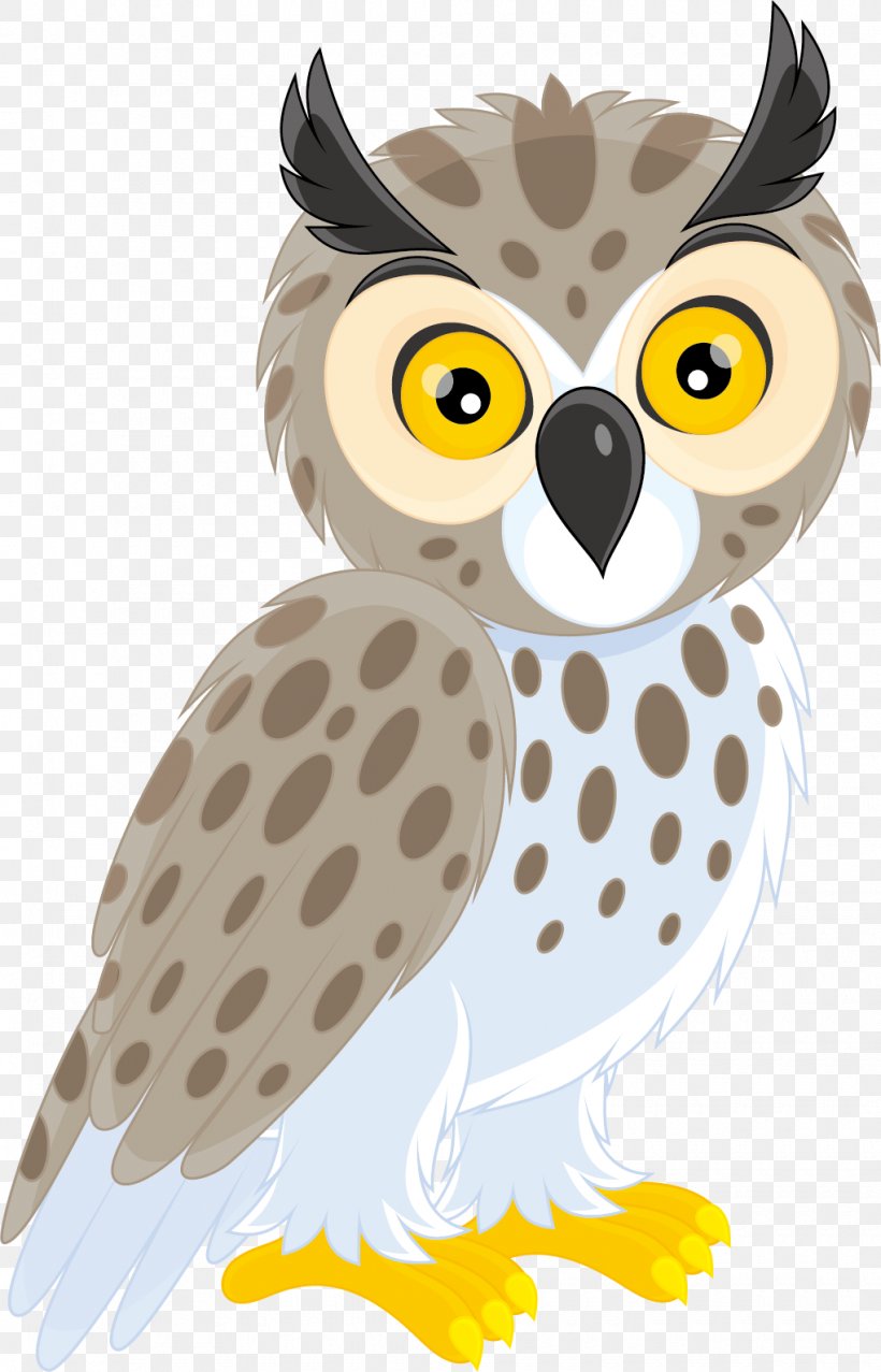 Long-eared Owl Short-eared Owl Clip Art, PNG, 1020x1589px, Owl, Barn Owl, Beak, Bird, Bird Of Prey Download Free