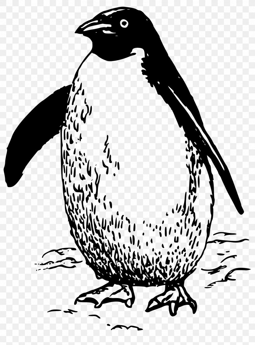 Penguin Bird Clip Art, PNG, 1773x2400px, Penguin, Animal, Art, Artwork, Beak Download Free