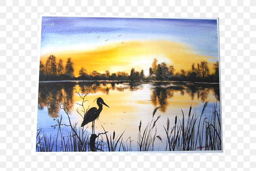 Watercolor Painting Bayou Bird, PNG, 800x550px, Painting, Bayou, Bird, Calm, Ducks Geese And Swans Download Free