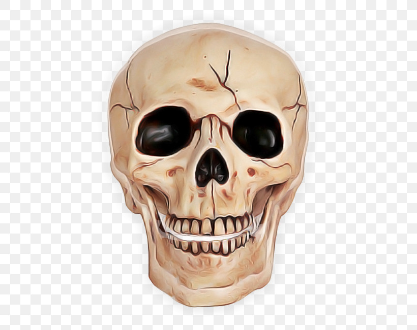 Bone Skull Face Skeleton Head, PNG, 560x650px, Bone, Chin, Face, Forehead, Head Download Free