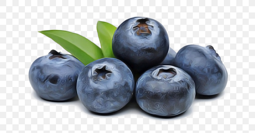 Fruit European Plum Berry Superfood Bilberry, PNG, 750x428px, Fruit, Berry, Bilberry, Blueberry, European Plum Download Free