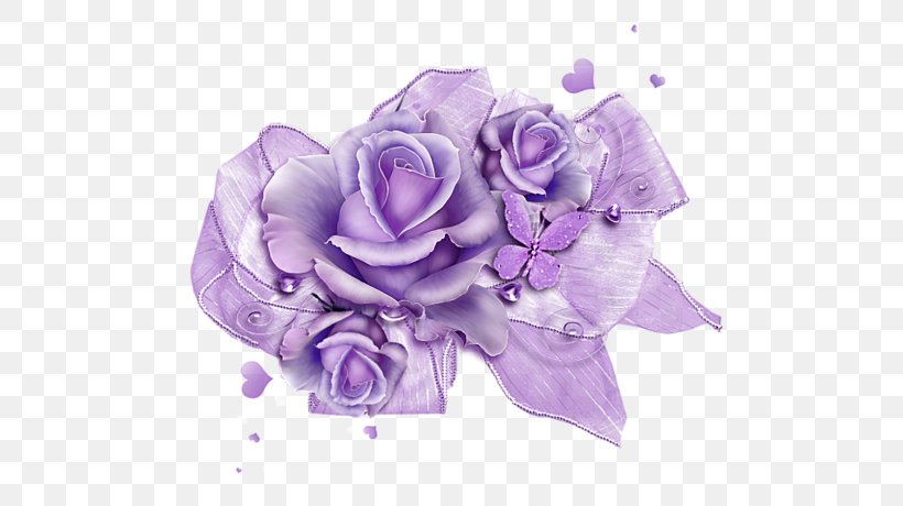 Garden Roses Beach Rose Centifolia Roses Purple, PNG, 600x460px, Garden Roses, Beach Rose, Centerblog, Centifolia Roses, Cut Flowers Download Free