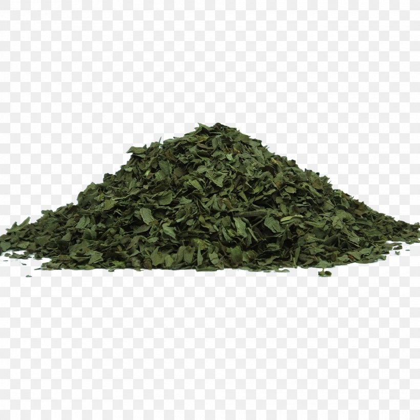 Tea Holy Basil Herb Food Drying Leaf, PNG, 1920x1920px, Tea, Allspice, Aonori, Basil, Drink Download Free