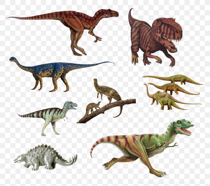 Tyrannosaurus Velociraptor Dinosaur Extinction, PNG, 1024x910px, Tyrannosaurus, Animal, Animal Figure, Curve, Depositfiles Download Free