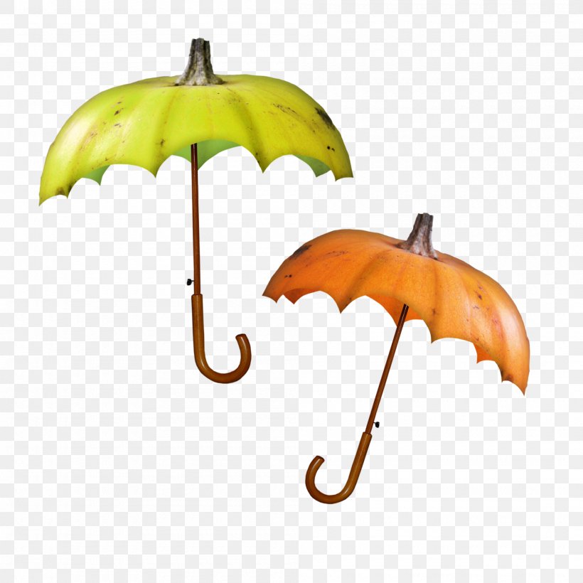 Umbrella Clothing Accessories Clip Art, PNG, 2000x2000px, Umbrella, Blog, Bookmark, Clothing Accessories, Delicious Download Free