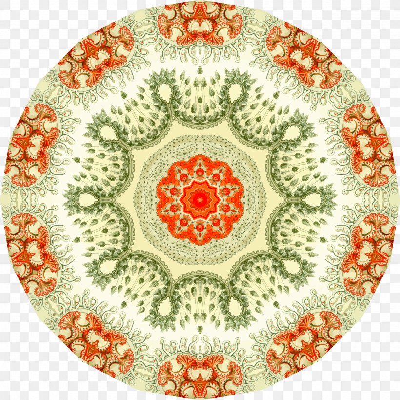 Art Forms In Nature Anthoathecata, PNG, 2401x2400px, Art Forms In Nature, Anthoathecata, Art, Dishware, Ernst Haeckel Download Free
