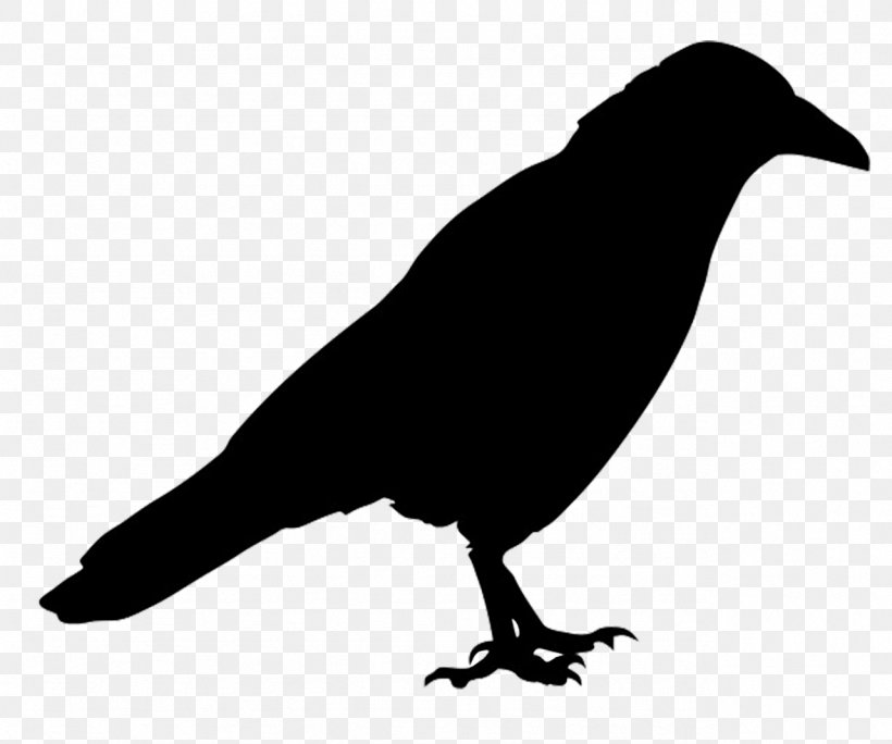 Bird Common Raven Silhouette Western Jackdaw, PNG, 1281x1069px, Bird, American Crow, Beak, Black And White, Common Raven Download Free