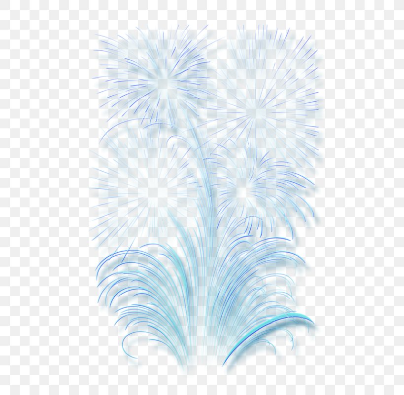 Clip Art Fireworks Image Vector Graphics GIF, PNG, 551x800px, Fireworks, Computer, Feather, Independence Day, New Year Download Free