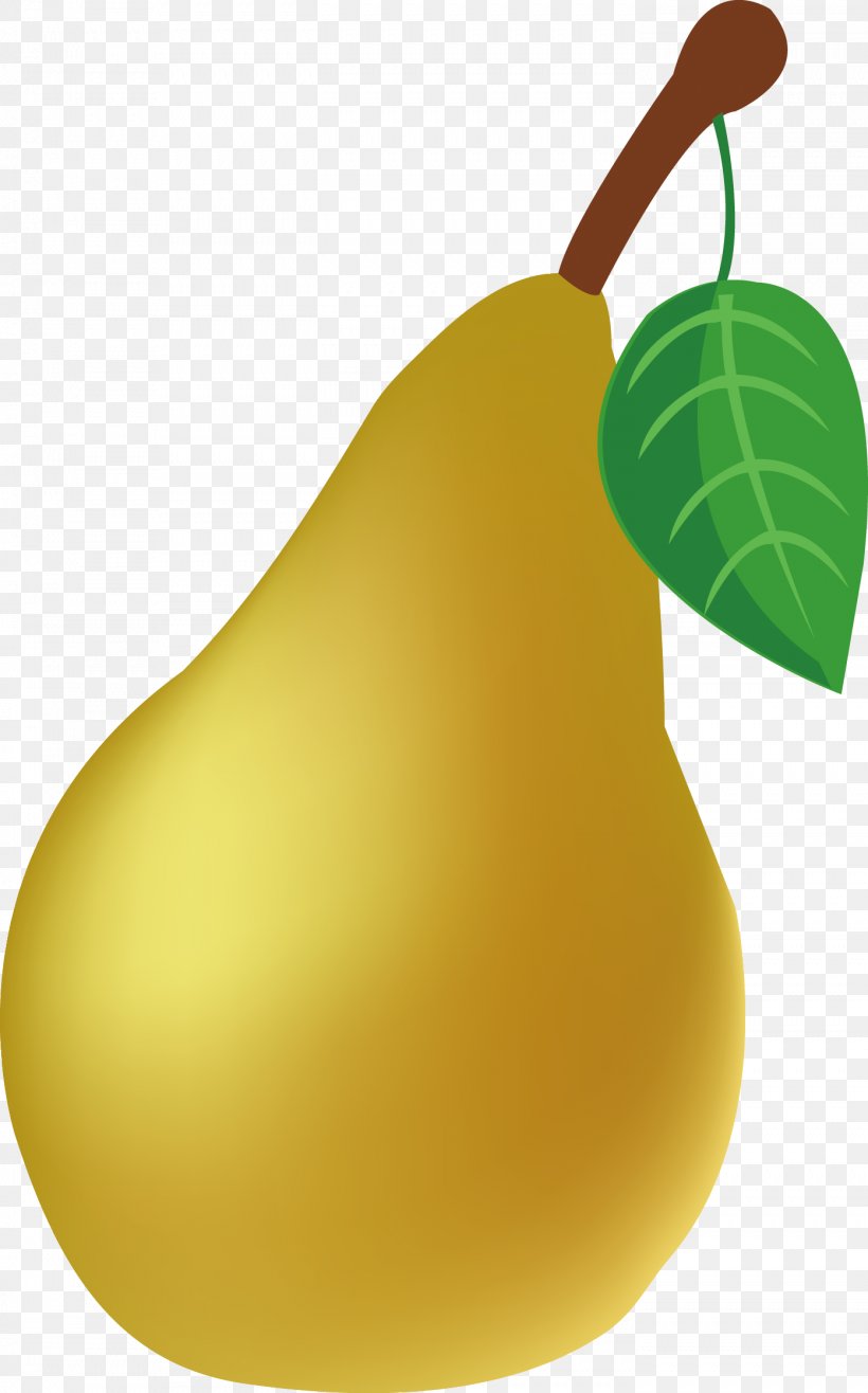 European Pear Fruit Auglis, PNG, 1394x2238px, European Pear, Auglis, Cartoon, Cucurbita, Drawing Download Free