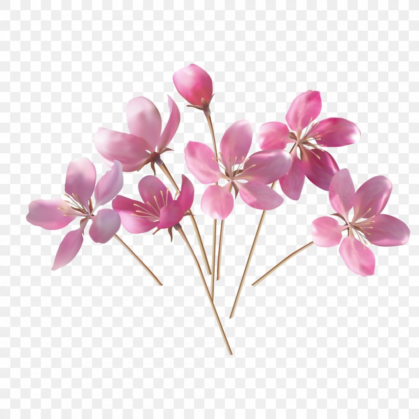 Fiori E Pensieri LAquila, PNG, 1000x1000px, Laquila, Artificial Flower, Blossom, Branch, Cherry Blossom Download Free