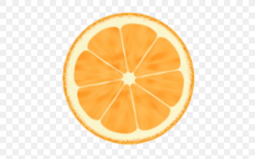 Florida Clip Art, PNG, 512x512px, Florida, Android, Citric Acid, Citrus, Drawing Download Free