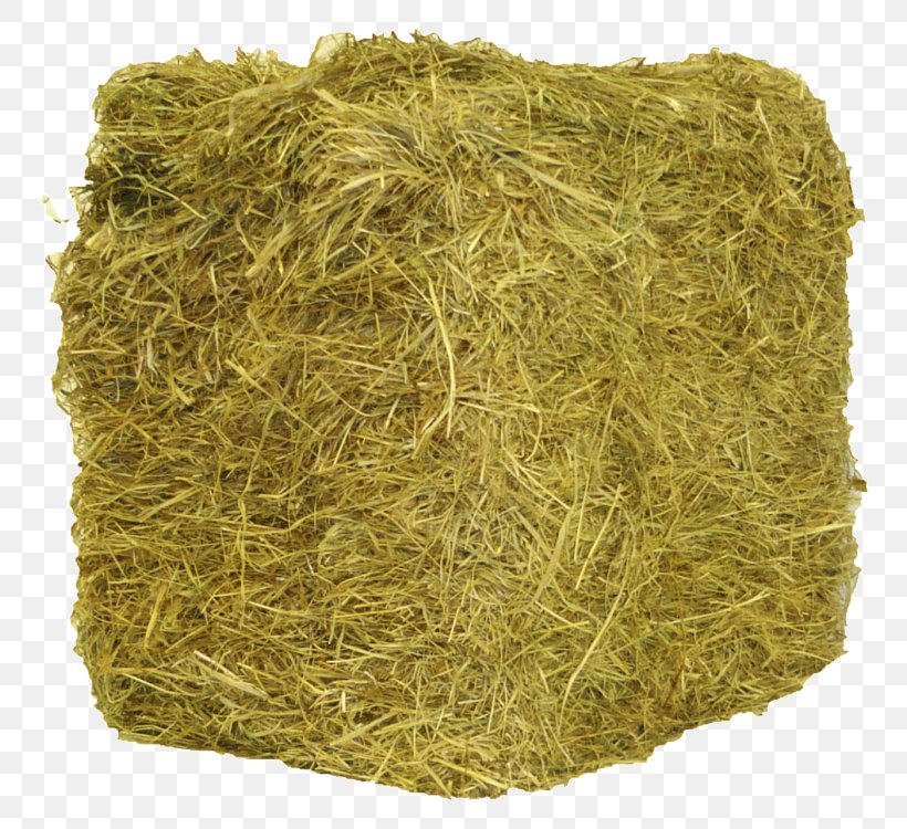 Hay Straw Timothy-grass Baler Farm, PNG, 750x750px, Hay, Baler, Barn, Farm, Food Download Free