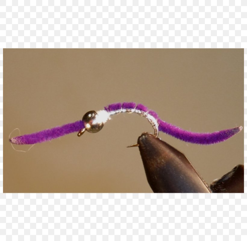 Insect, PNG, 800x800px, Insect, Membrane Winged Insect, Purple Download Free