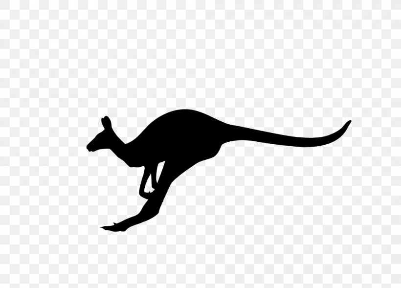 Macropodidae Australia Kangaroo Silhouette, PNG, 1000x719px, Macropodidae, Animal, Australia, Black, Black And White Download Free
