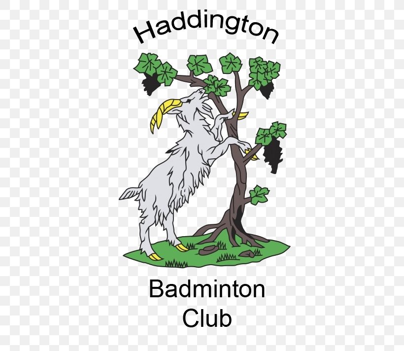 Haddington RFC Leisure Time Sports Rugby Union Beak, PNG, 600x712px, Rugby Union, Art, Beak, Bird, Branch Download Free