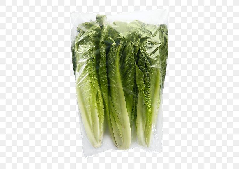 Leftovers Romaine Lettuce 夢里花落知多少 Coffee Roasting, PNG, 580x580px, Leftovers, Celtuce, Chard, Choy Sum, Coffee Download Free