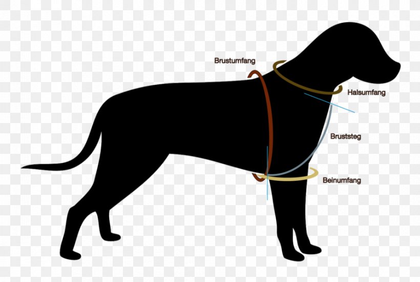 American Pit Bull Terrier Chihuahua Scotch Collie Pet Clip Art, PNG, 893x600px, American Pit Bull Terrier, Carnivoran, Chihuahua, Collie, Dog Download Free