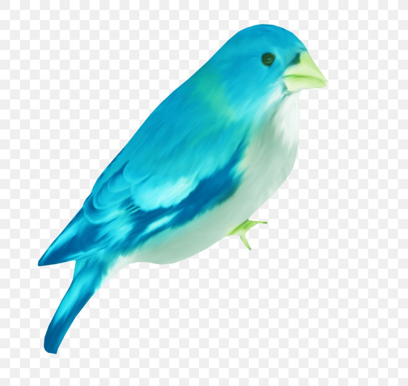 Bird Blue, PNG, 800x776px, Bird, Animation, Art, Beak, Blue Download Free