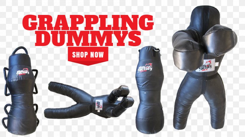 Boxing Glove Venum Protective Gear In Sports, PNG, 1000x560px, Boxing Glove, Boxing, Everlast, Fairtex, Fairtex Gym Download Free