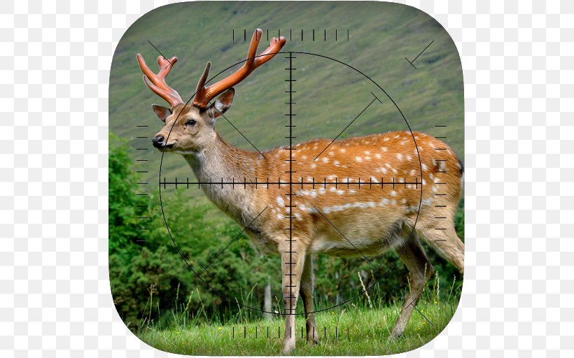 Deer Sniper: Hunting Game Deer Hunting Deer Hunter 3D, PNG, 512x512px, Watercolor, Cartoon, Flower, Frame, Heart Download Free