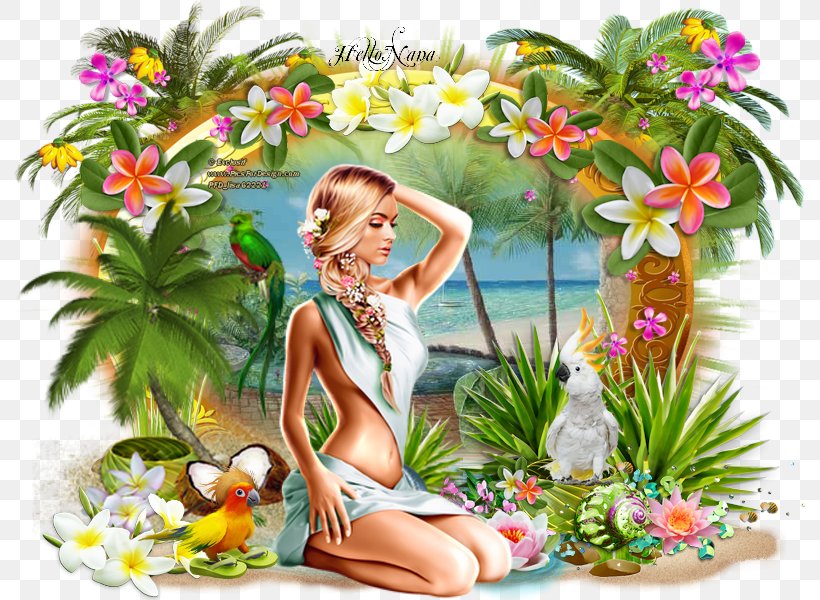 Flowering Plant Summer, PNG, 800x600px, Flower, Art, Flora, Flowering Plant, Grass Download Free