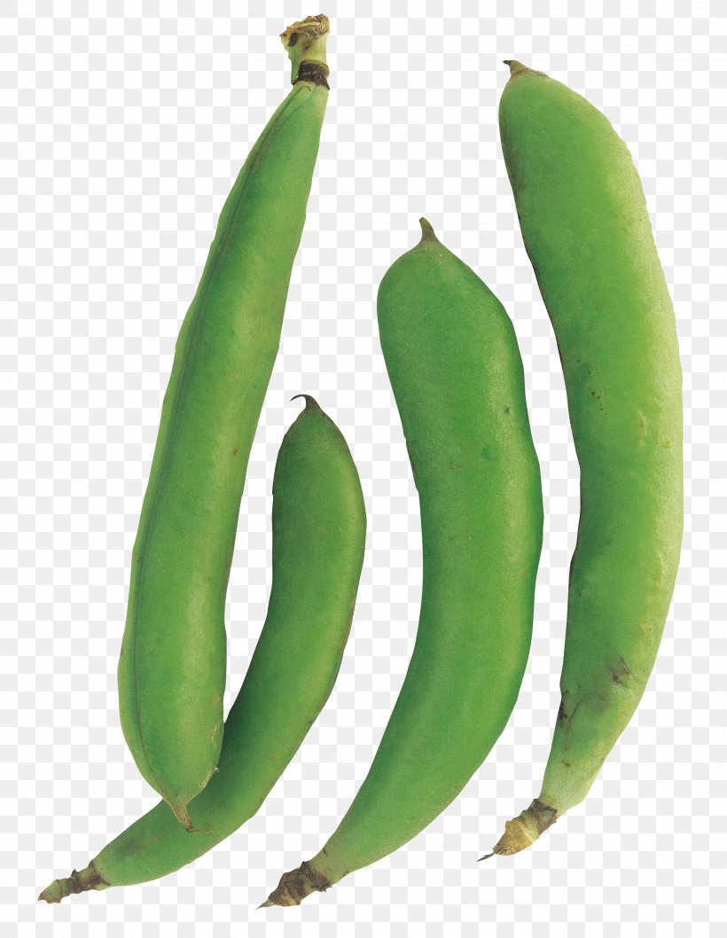 Banana, PNG, 2772x3579px, Snap Pea, Avocado, Banana, Banco De Imagens, Bean Download Free