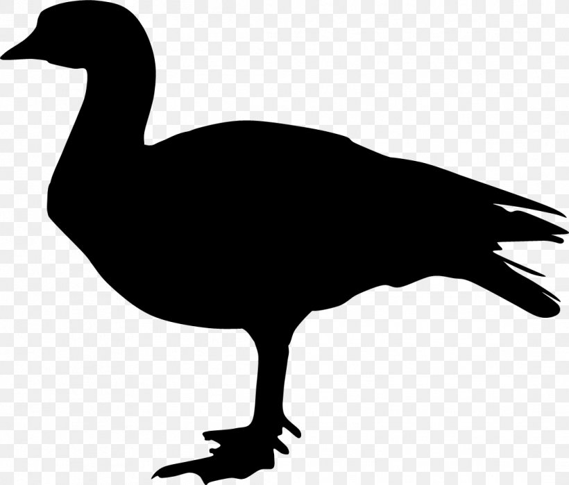 Duck Goose Silhouette Feather Clip Art, PNG, 1092x931px, Duck, Beak, Bird, Black And White, Ducks Geese And Swans Download Free