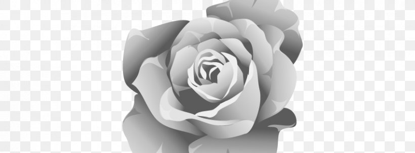 Free Rose Clip Art, PNG, 850x315px, Free, Black And White, Black Rose, Close Up, Cut Flowers Download Free