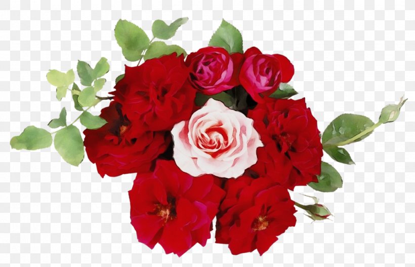 Garden Roses, PNG, 1024x659px, Watercolor, Bouquet, Cut Flowers, Flower, Flowering Plant Download Free