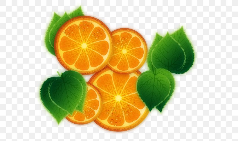 Mandarin Orange Lemon Vegetarian Cuisine Rangpur Lime, PNG, 608x488px, Mandarin Orange, Acid, Bitter Orange, Citric Acid, Citrus Download Free