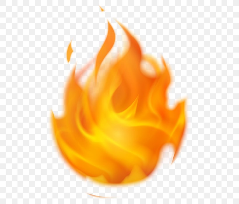 Flame Fire Clip Art GIF, PNG, 519x699px, Flame, Advertising, Blog, Bonfire, Close Up Download Free