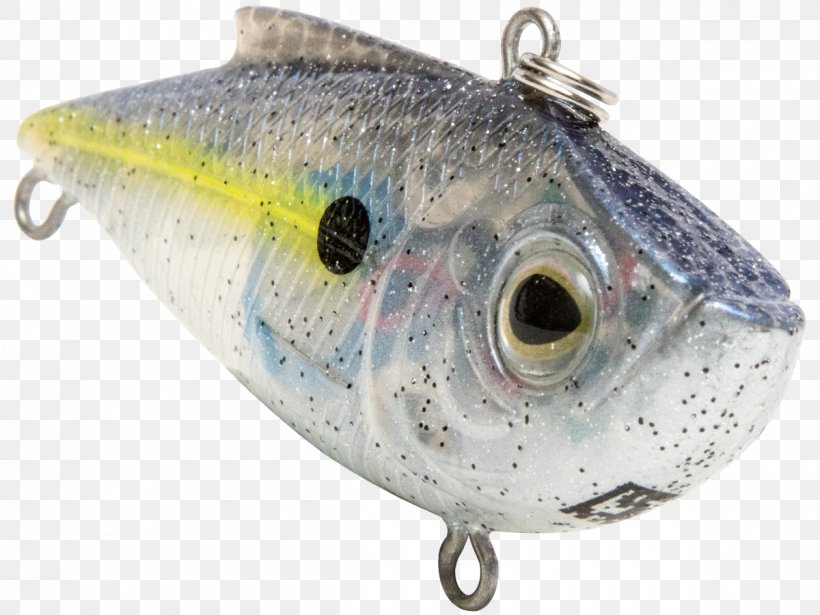 Sardine Spoon Lure Oily Fish Milkfish, PNG, 1200x900px, Sardine, Ac Power Plugs And Sockets, Bait, Fish, Fishing Bait Download Free